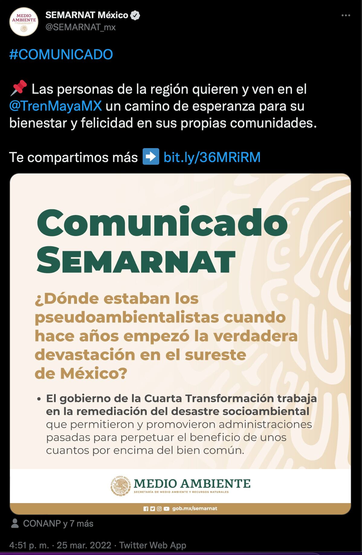 La Semarnat lanzó un comunicado contra críticos del Tren Maya