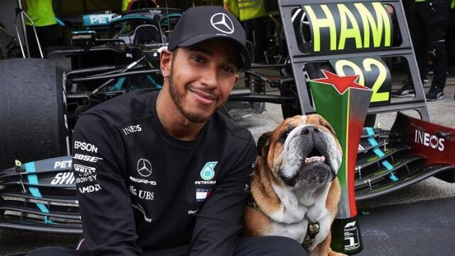 Lewis Hamilton y su perro vegano, Roscoe