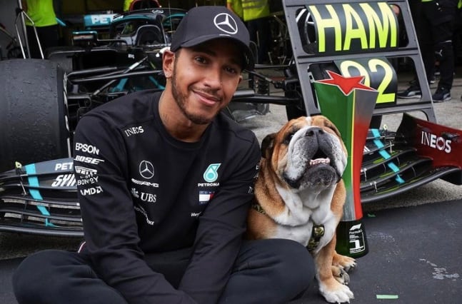 Lewis Hamilton y su perro vegano, Roscoe