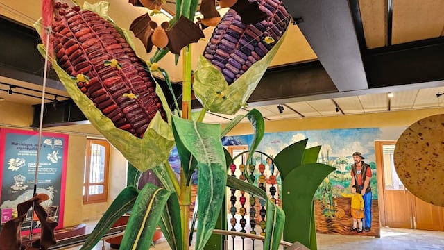 cencalli, casa del maíz y la cultura alimentaria