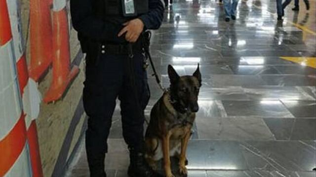Perro policía.
