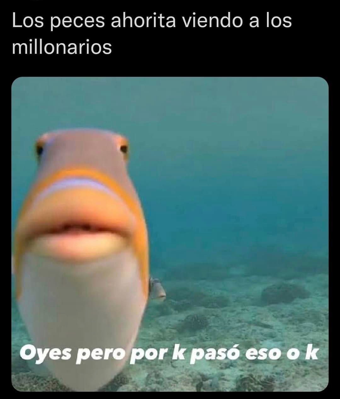 Memes de los tripulantes del submarino turístico del Titanic
