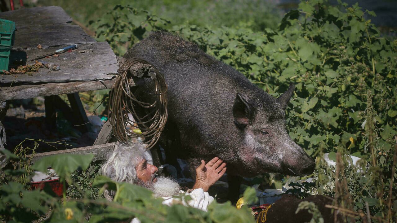 Ermitaño Panta Petrovic