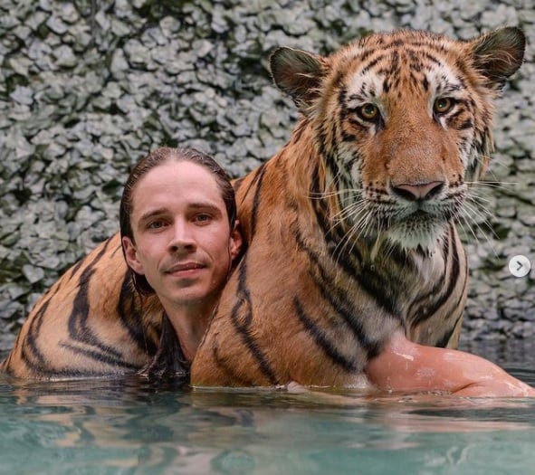 Kody Antle y tigre de bengala
