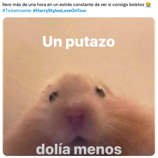 Memes para boletos de Harry Styles