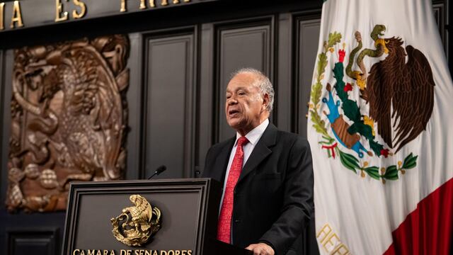 Alberto Anaya, senador del PT