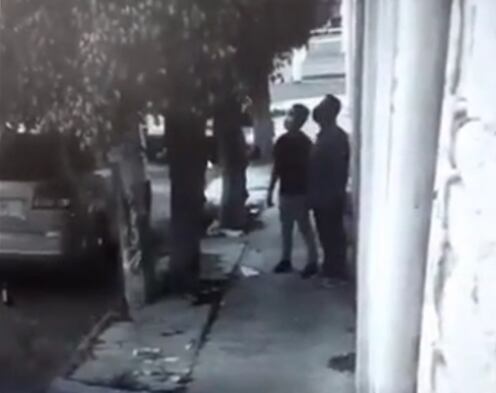 Se esconde en árbol