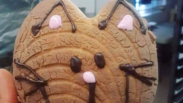 Michiconcha de chocolate