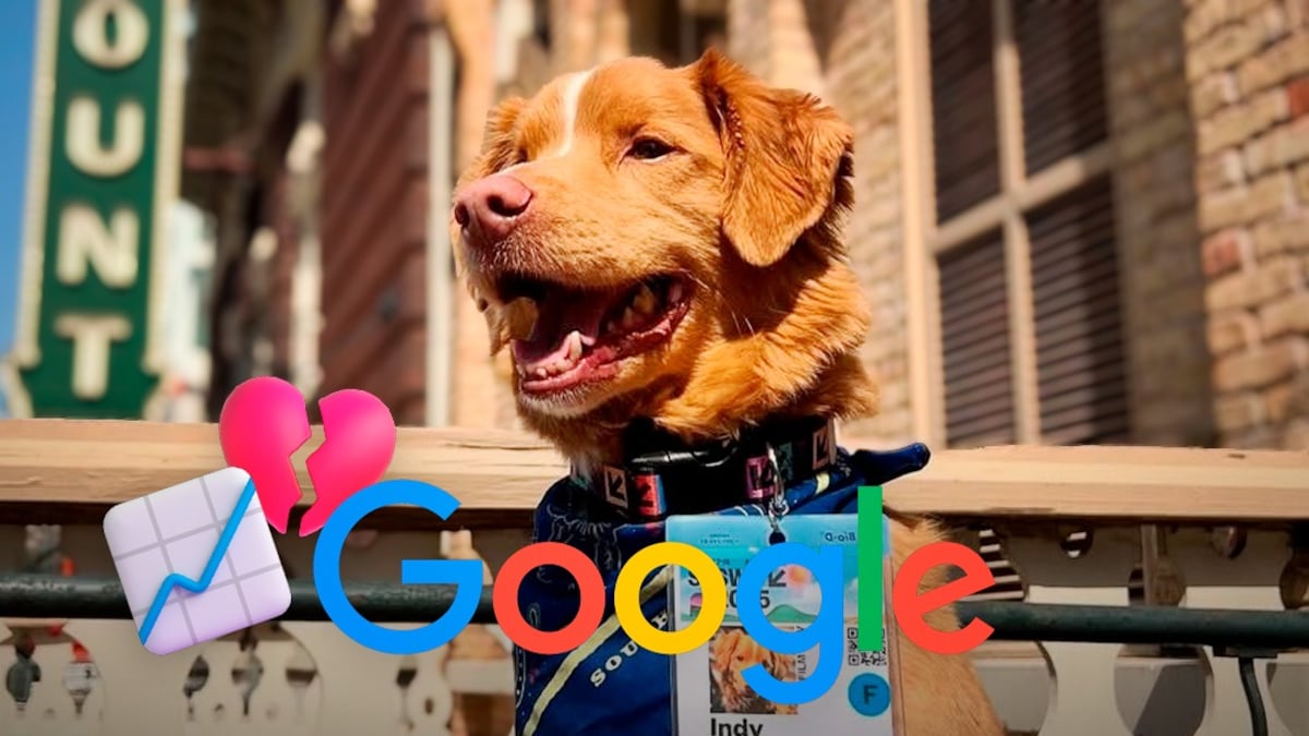 Googie Perro El perro de Good Boy muere?” La búsqueda de Google que se incrementó ...