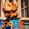 “¿El perro de Good Boy muere?” La búsqueda de Google que se incrementó tras el lanzamiento del tráiler de la película de terror