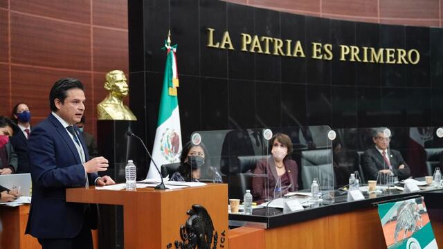 Zoe Robledo, director del IMSS