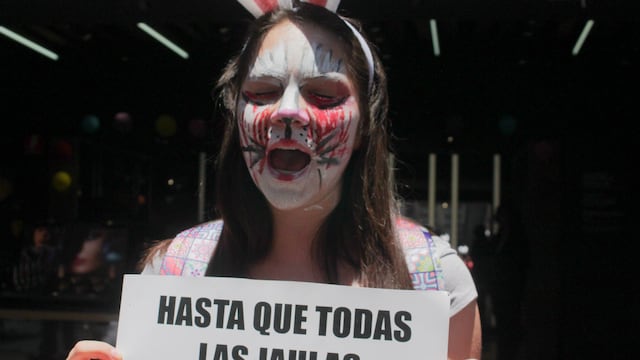 Protesta contra maltrato animal