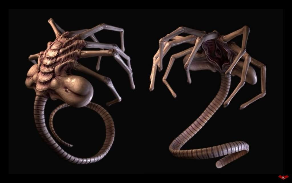Facehugger