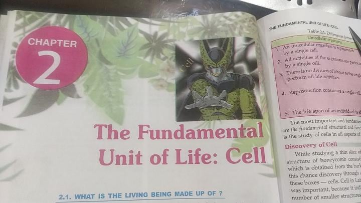 Cell en libro de biología