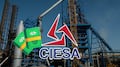 CIESA gana la subasta de Altos Hornos de México con oferta de mil 400 millones de dólares