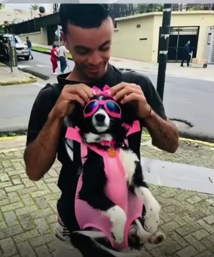 Llega a Estados Unidos con su perrita