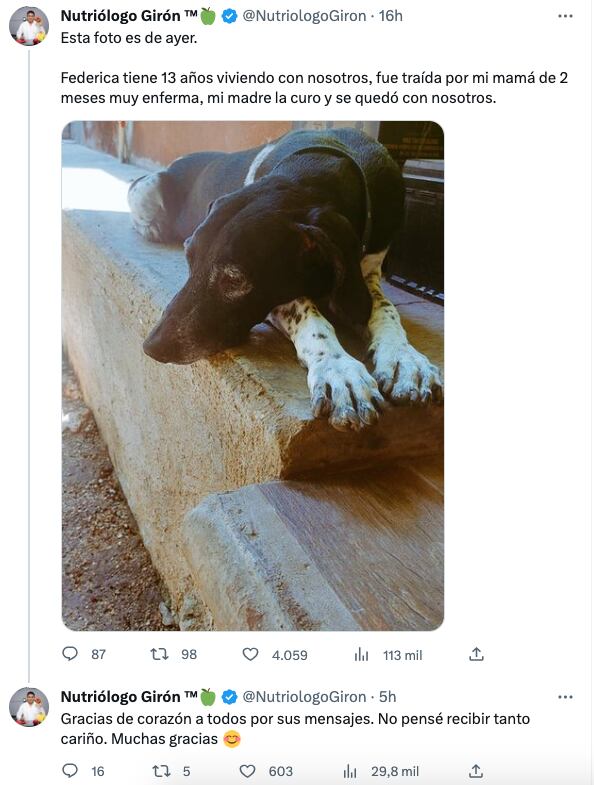 Esta es la historia de la perrita Federica, quien acaba de perder a su humana
