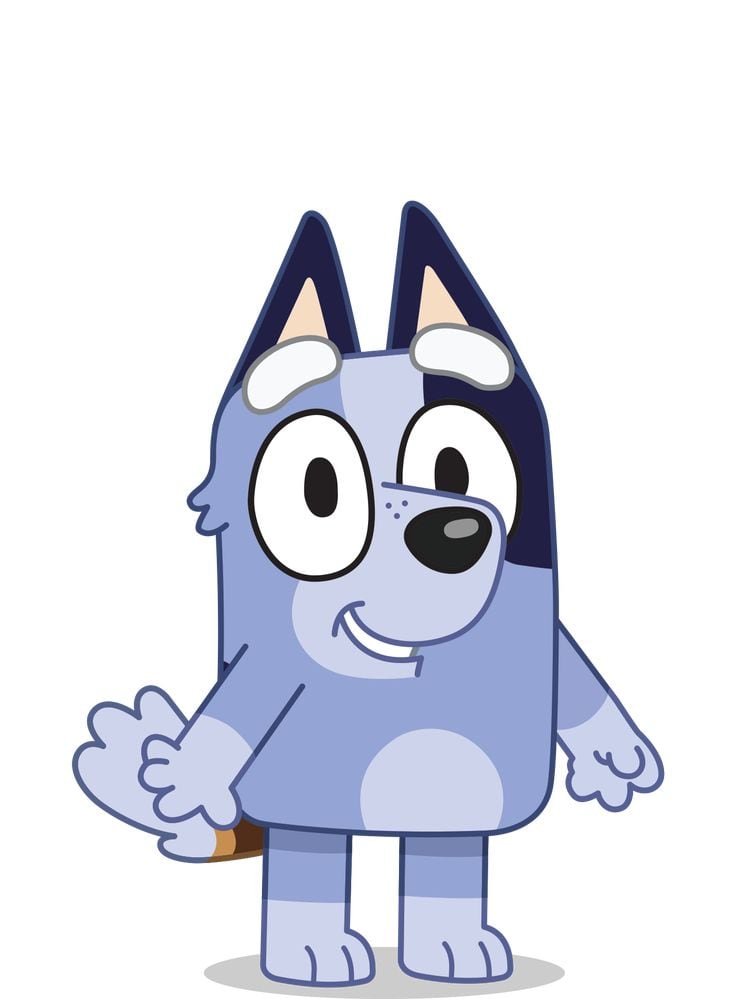 Fondos de pantalla de Socks, la prima chiquita de Bluey