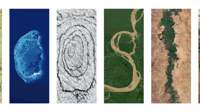 Google celebra el Día de la Tierra hoy 22 de abril con un doodle