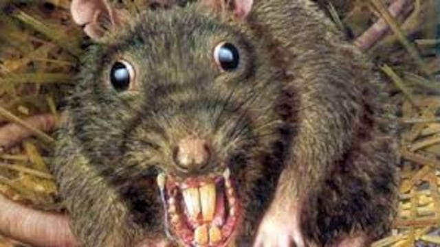 No resulta sencillo para un gobierno pelear con la mafia global de las finanzas, pero a veces, por lo visto, lo mejor no es arrodillarse, sino llamar al pan, pan, y al vino, vino