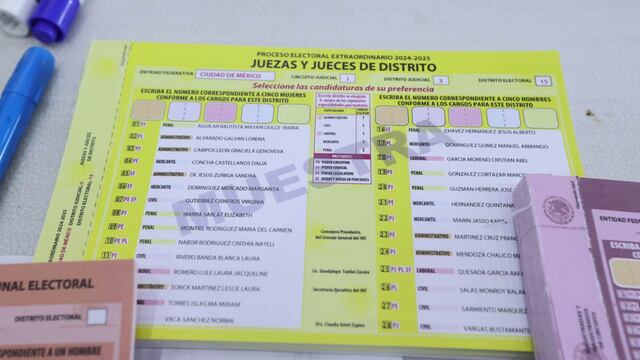 En las instalaciones del INE se realizaron un simulacro Electoral para Personas con Discapacidad de la Elección del Poder Judicial 2025
