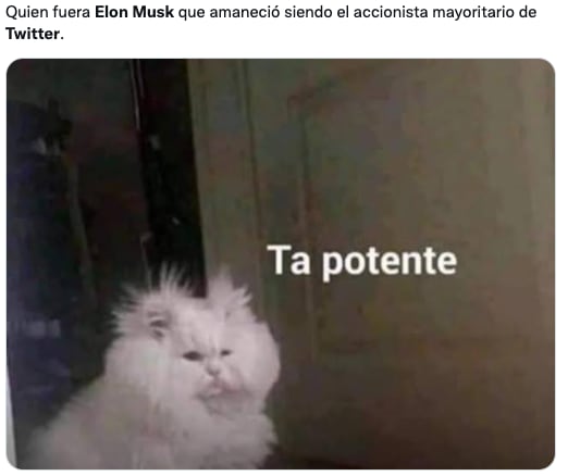Memes de Elon Musk tras la compra de acciones en Twitter