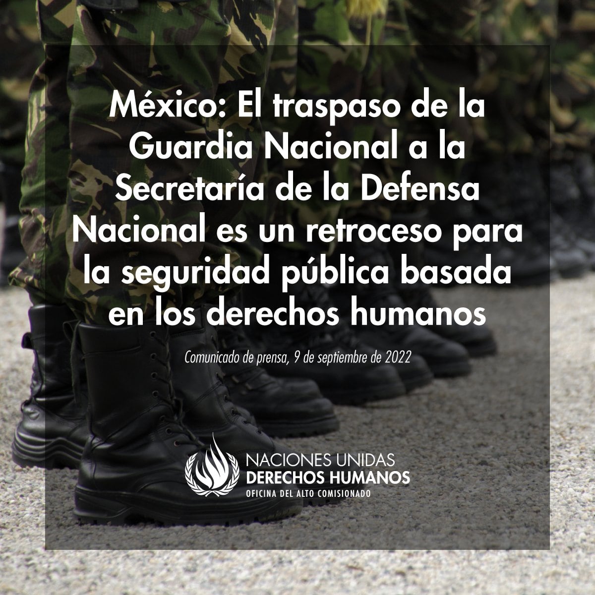 Comunicado de ONU-DH