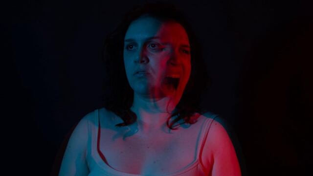 La mosca en la pared, cortometraje