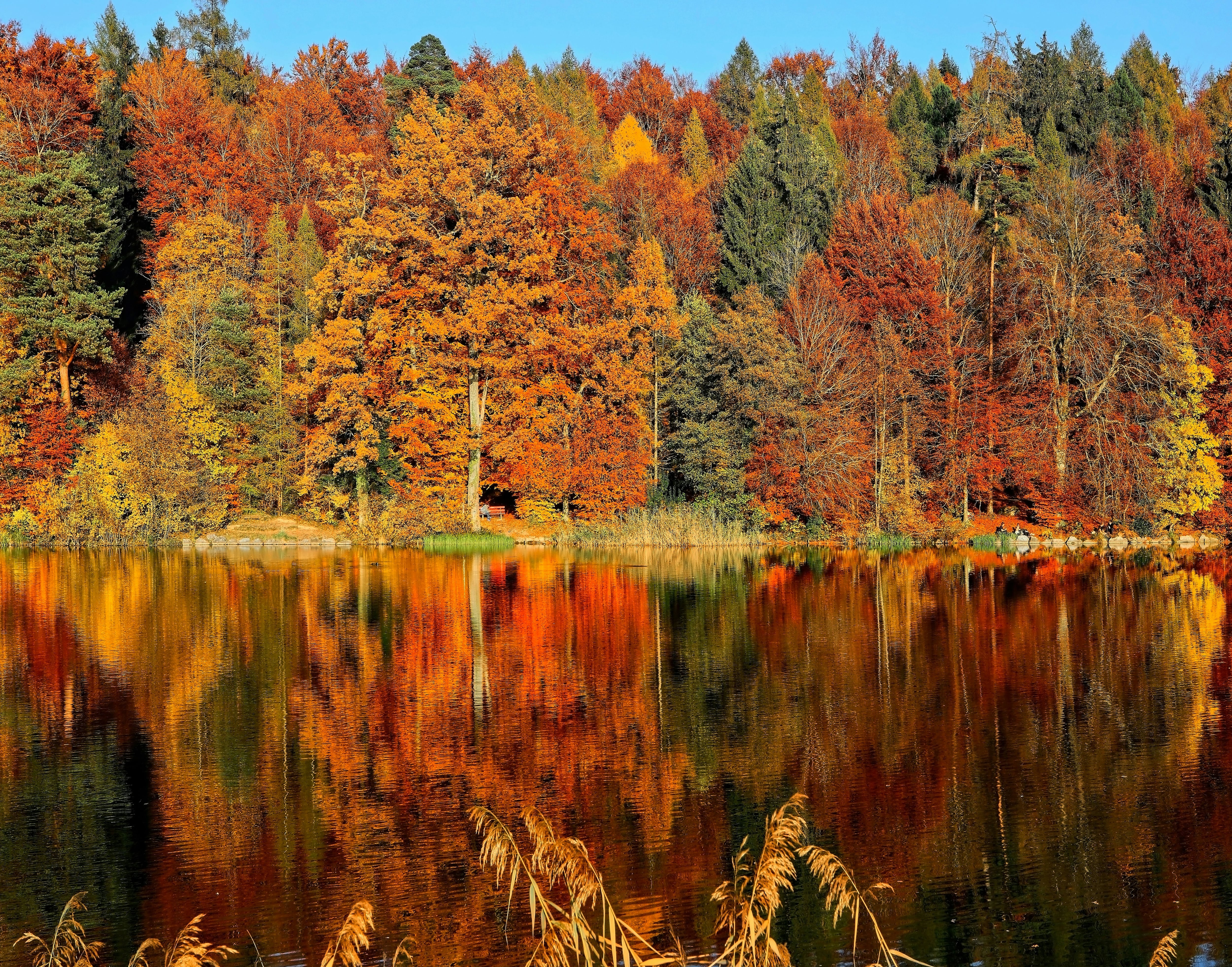 Otoño