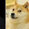 Elon Musk se despide de Doge con foto donde Harambe la abraza