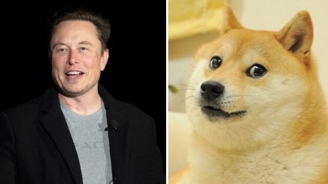 Elon Musk se despide de Doge con foto donde Harambe la abraza