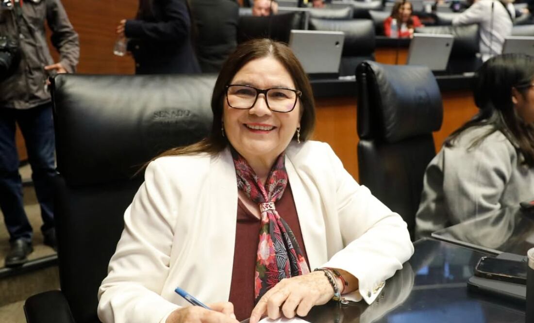 Imelda Castro, senadora por Morena