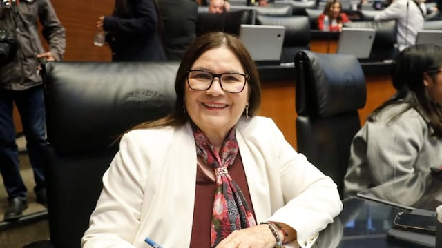 Imelda Castro, senadora por Morena