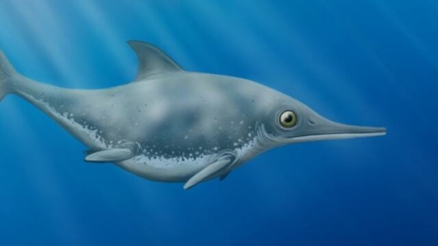 Thalassodraco etchesi