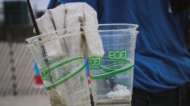 Este 5 de junio se celebra el Día Mundial del Medio Ambiente con el tema "contaminación por plásticos"