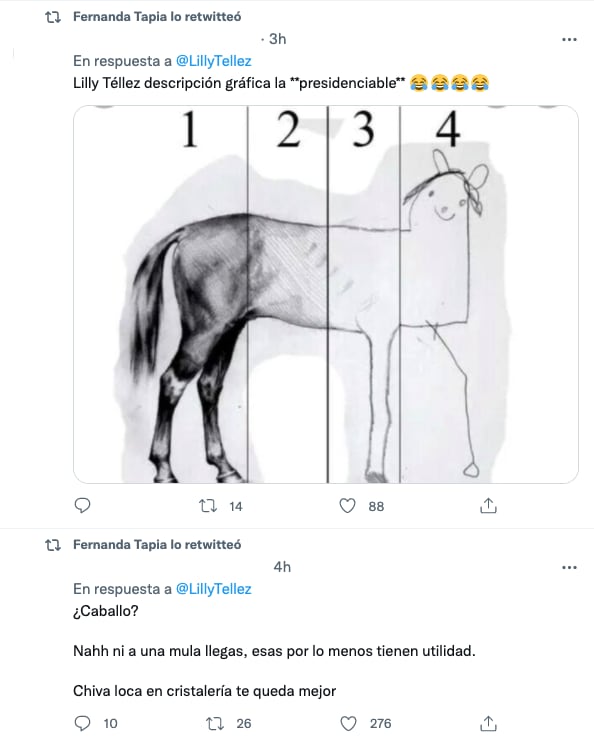 Memes de Lilly Téllez