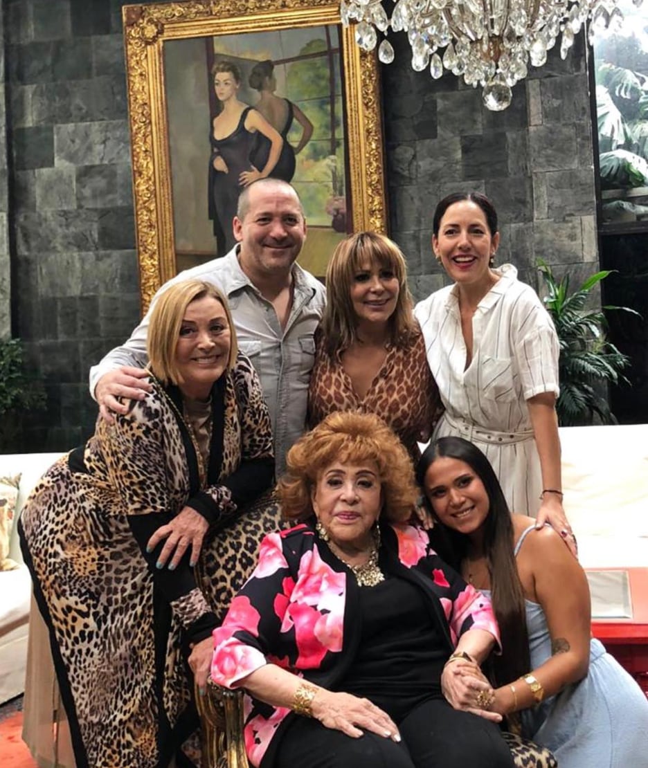 Cuadro de Silvia Pinal por Diego Rivera, familia Pinal