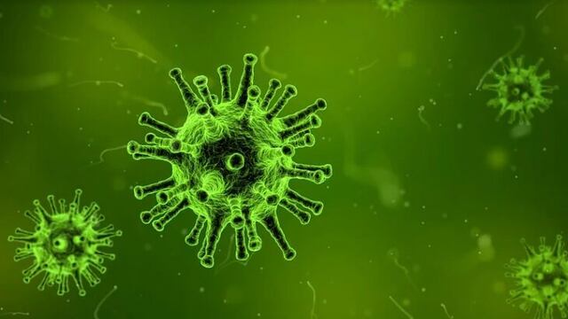 Los investigadores desconocían la existencia de estos virus.