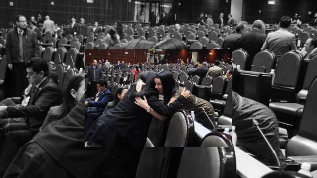 Las 83 preguntas planteadas por los legisladores deberán ser agrupadas por áreas temáticas: política interior, política exterior, política social y política económica.