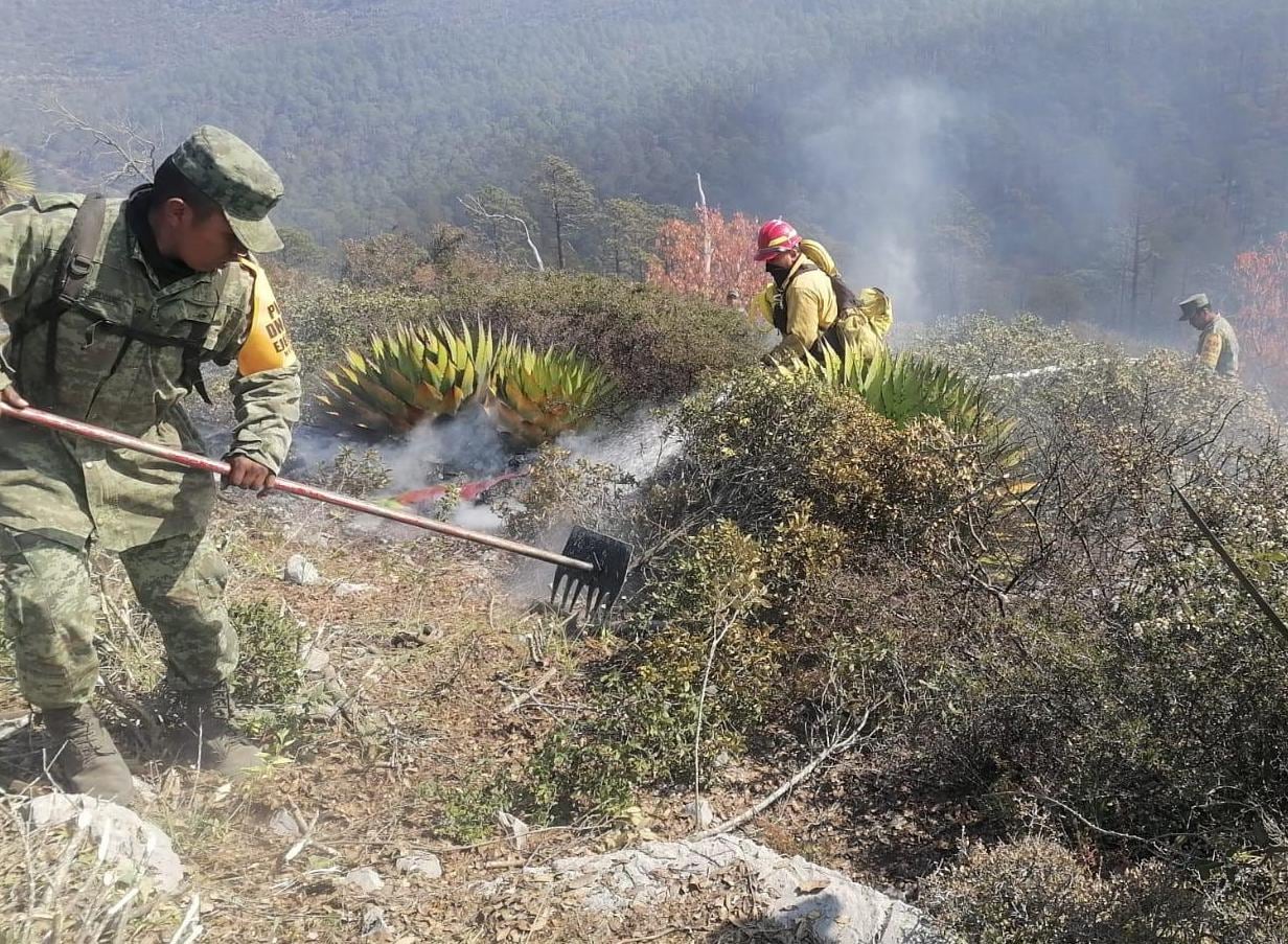 Incendio en El Mante provoca que se active Plan DN-III