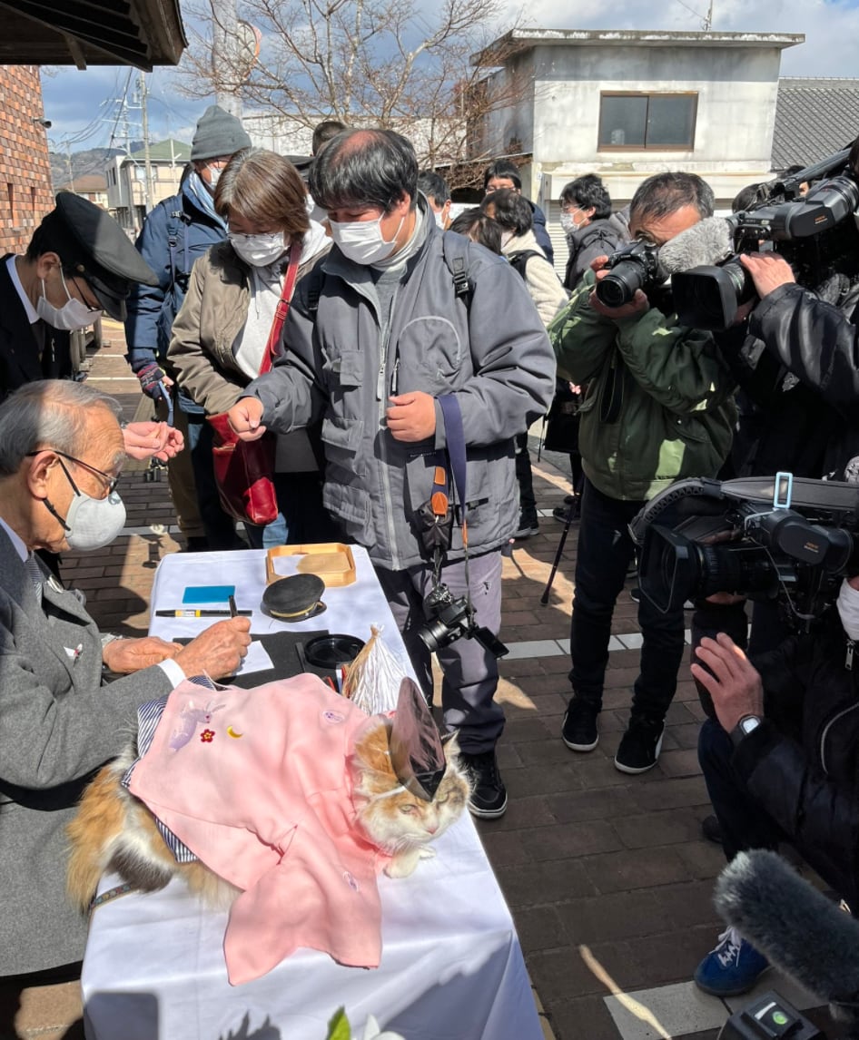 Gato es proclamado sacerdote