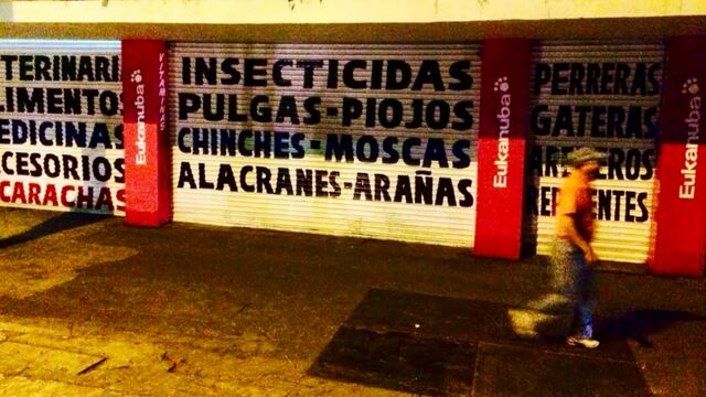 Foto: Plácido Garza