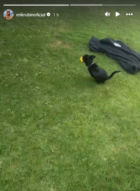 Erik Rubín reacciona al noviazgo de Andrea Legarreta y Luis Carlos Origel