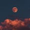 La oración que puedes hacer para la luna llena en Leo del 25 de enero