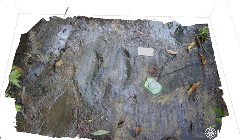 INAH revela descubrimiento de huellas dinosaurio en Apatzingán
