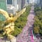 ¿Qué es Marea Rosa? La organización que realizará marcha en el Zócalo en la que estará Xóchitl Gálvez