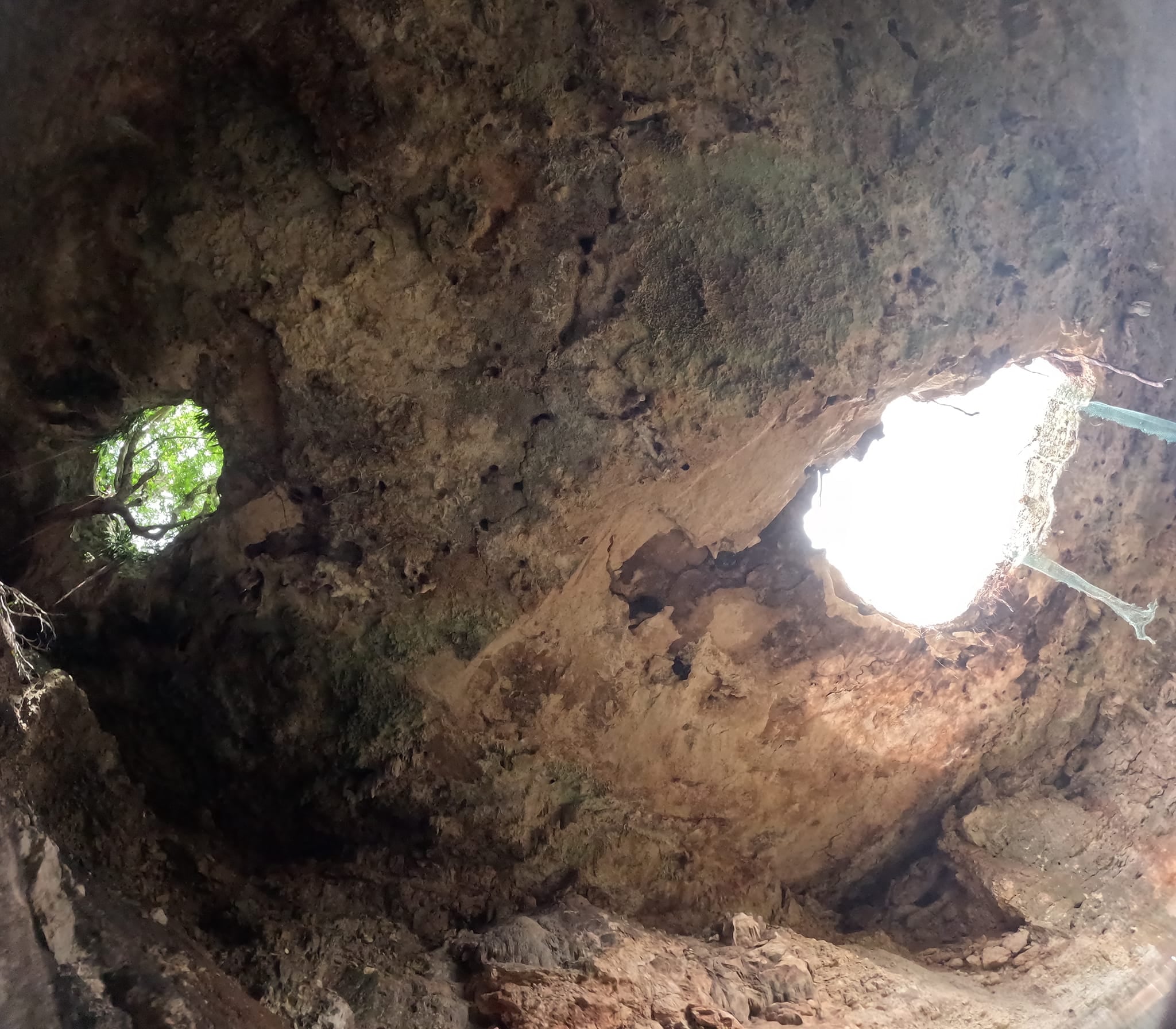 ¿Qué pasó en el cenote de Xocén? Colapsó parte de la bóveda y se tragó un árbol de 100 años