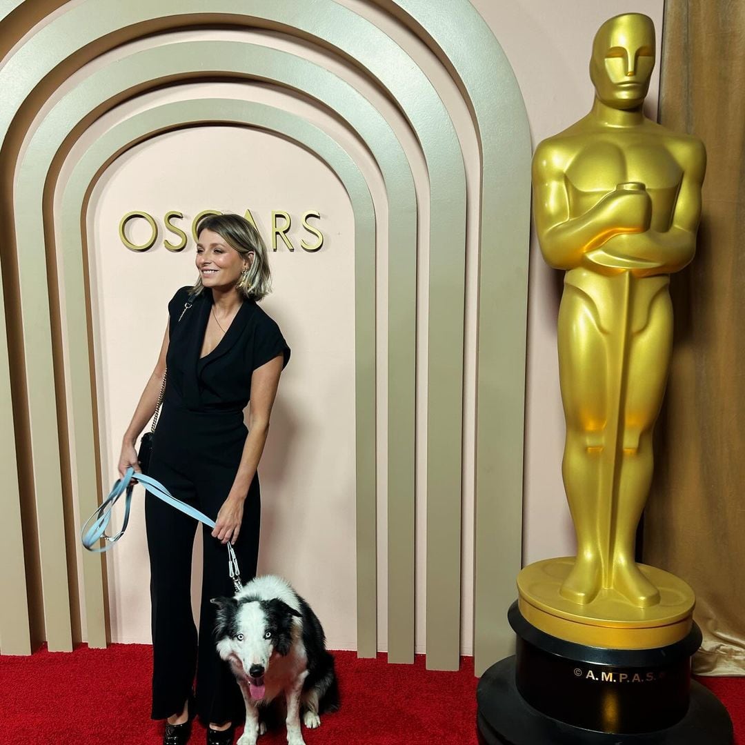 Messi, el perro actor de Anatomía de una caída