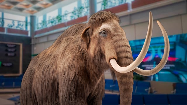 Mamut mexicano hallado en el AIFA pertenece a linaje desconocido, revela estudio científico