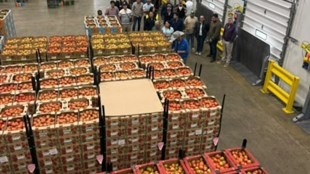 Guanajuato impulsa exportaciones agroalimentarias.